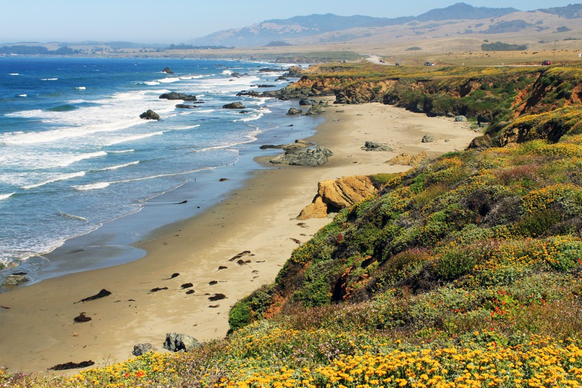 san-simeon-coastline