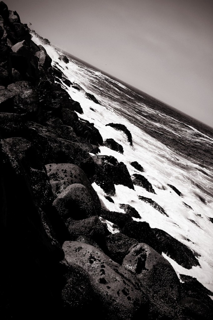 Black and White Morro Bay State Park Coast