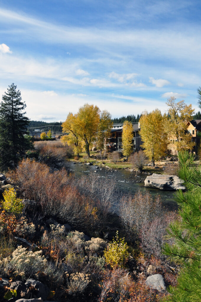 Fall in lake tahoe