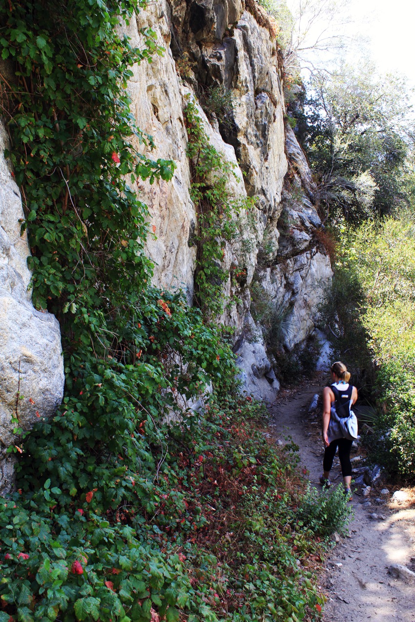 Hiking back from the bridge to nowhere