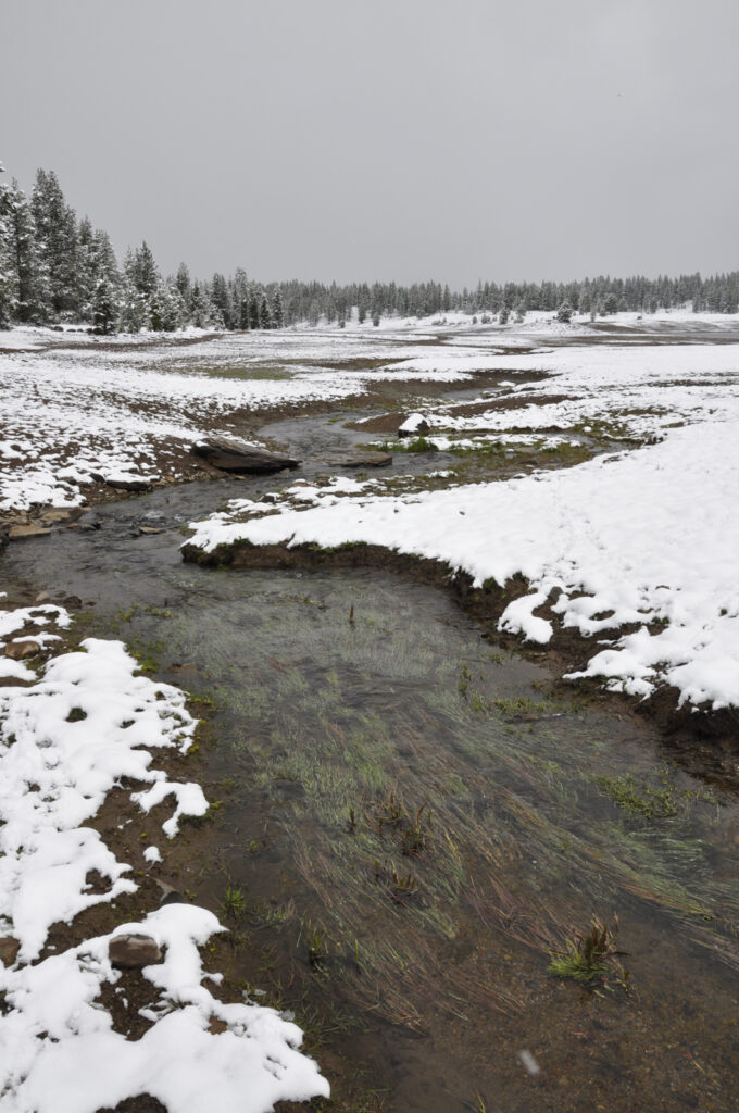 River running through the snow