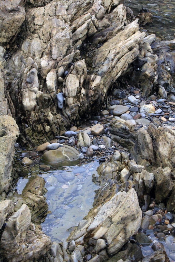 Piscinas de marés em Corona del mar