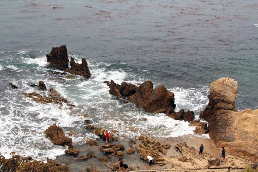 Tide pools in little corona del mar