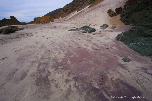 purple sand pfieffer