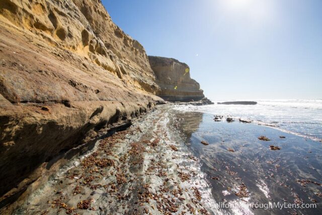 Torrey Pines Reserve-12