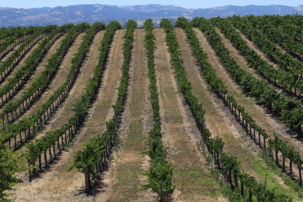 cave tours in paso robles