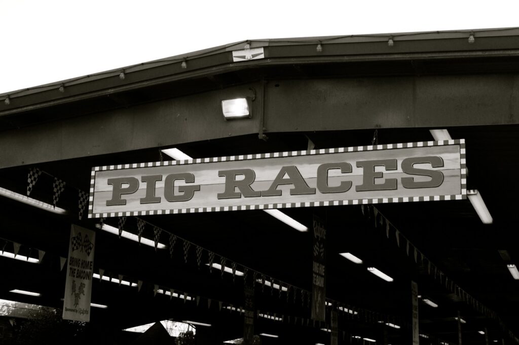 pig races sign black and white
