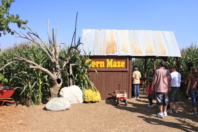 Oak Glen Pumpkin Patch Yucaipa