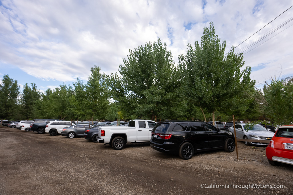Live Oak Canyon Pumpkin Patch in Yucaipa California Through My Lens