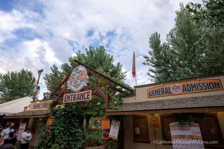 Live Oak Canyon Pumpkin Patch in Yucaipa California Through My Lens