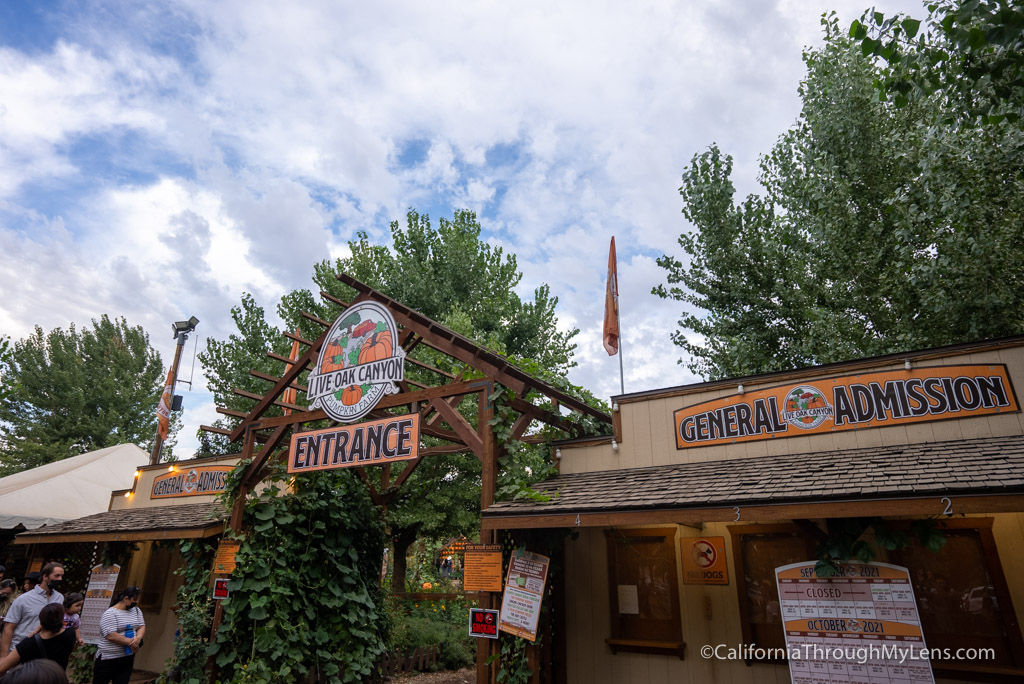 Live Oak Canyon Pumpkin Patch in Yucaipa California Through My Lens