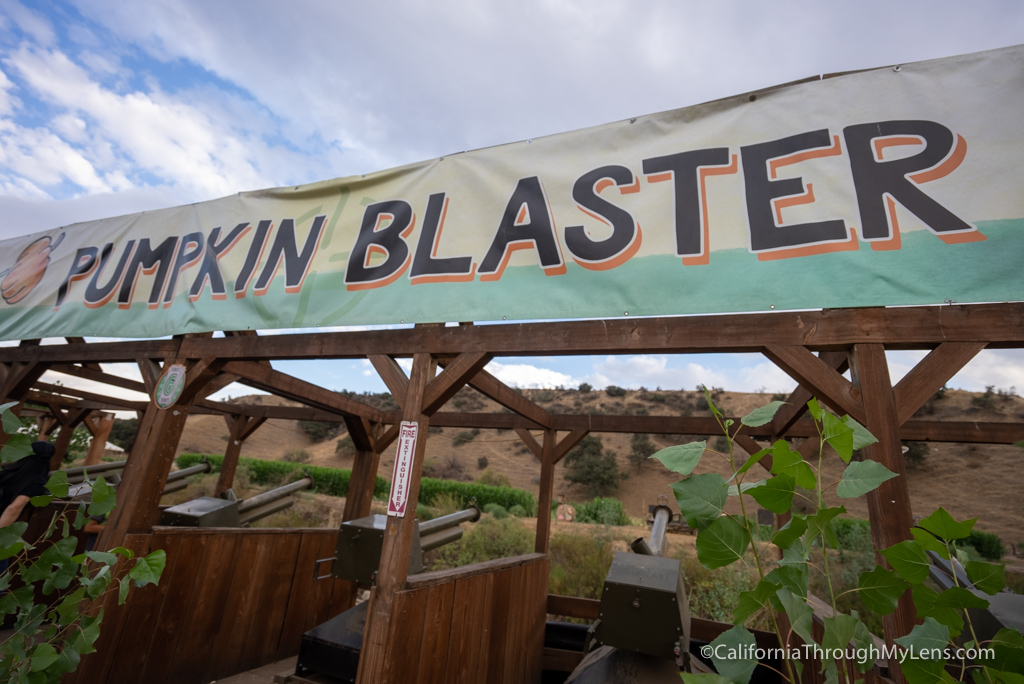 Live Oak Canyon Pumpkin Patch in Yucaipa California Through My Lens