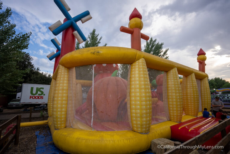 Live Oak Canyon Pumpkin Patch in Yucaipa California Through My Lens
