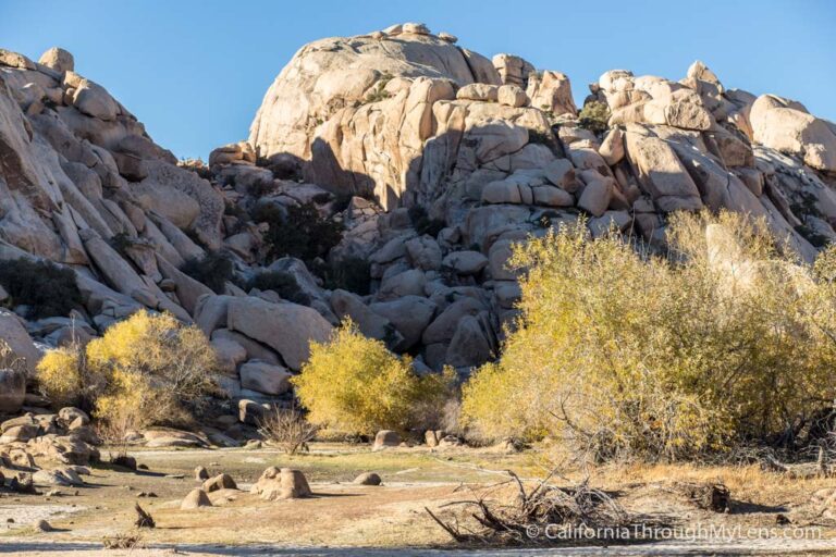 Joshua Tree National Park Guide: Hikes, Mines, Arches & Views