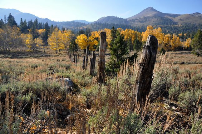 Changing seasons in Lake Tahoe