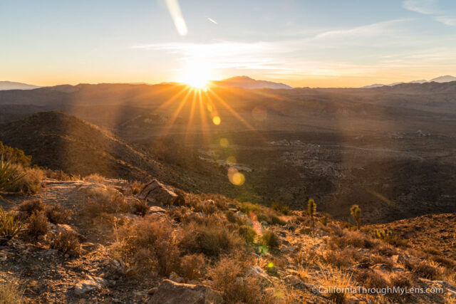 best place to visit joshua tree