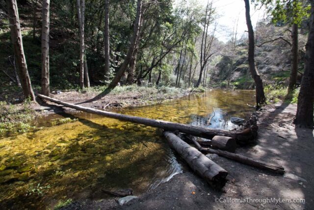 Hiking Sturtevant Falls In Santa Anita Canyon California Through