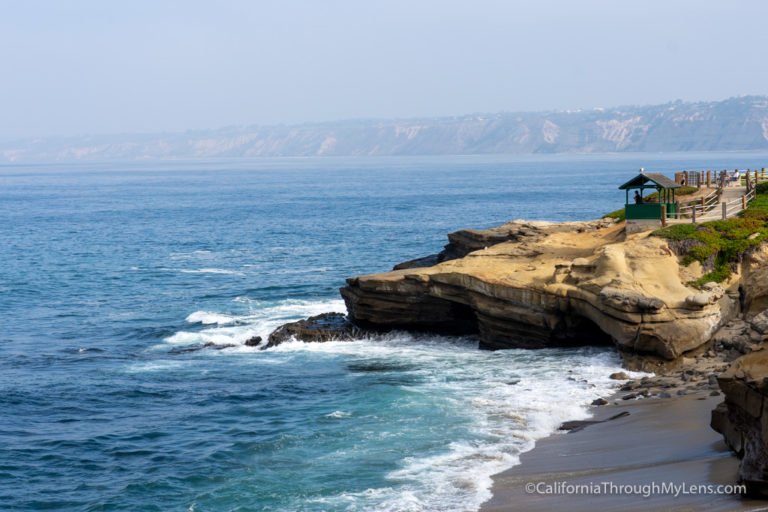 10 Things to do in La Jolla: Hikes, Food & Beaches
