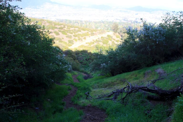 Bee Rock Hike in Griffith Park California Through My Lens