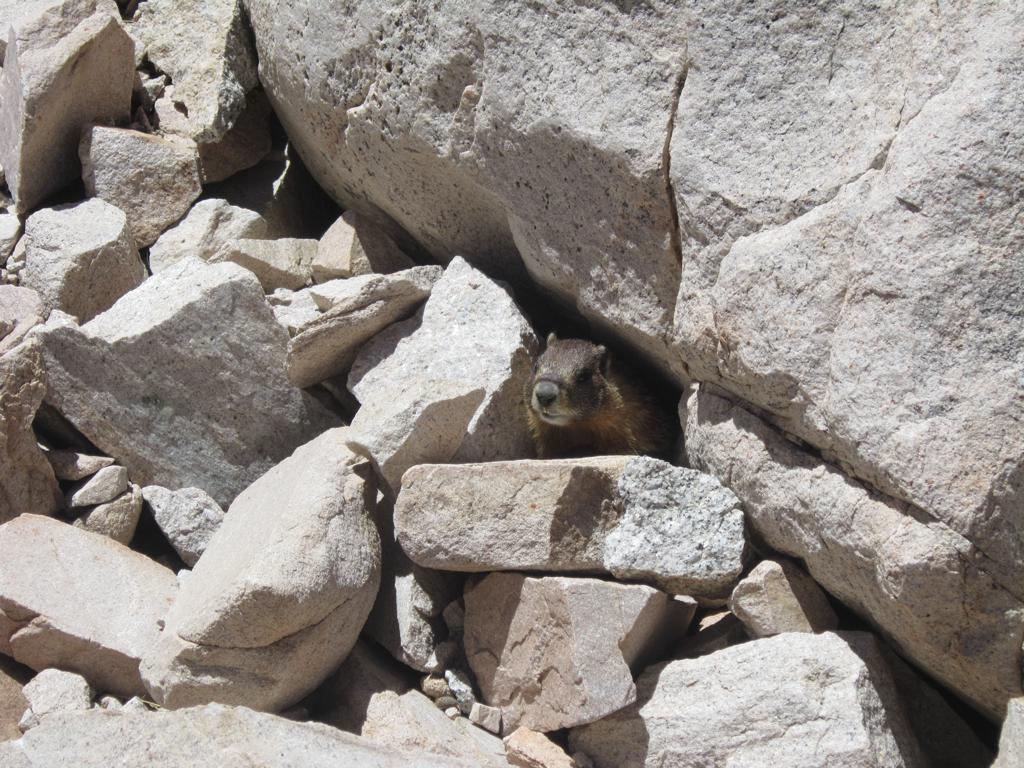 mount whitney tourism