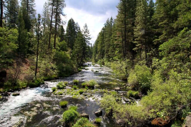 McArthur-Burney Falls: A Mesmerizing Waterfall in Northern California ...