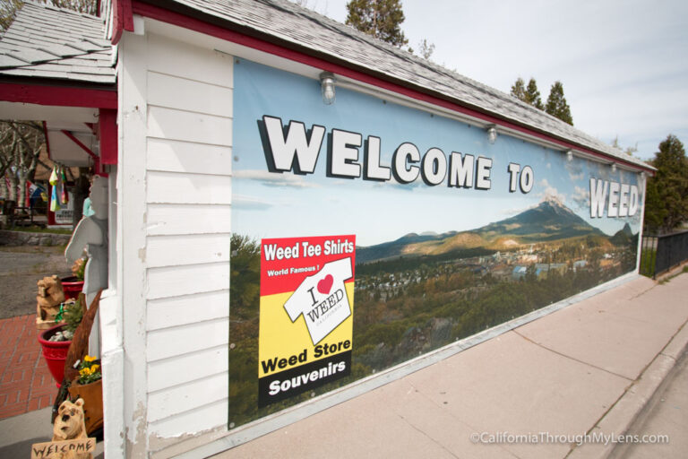 Weed, California: 3,000 People and a Gift Shop