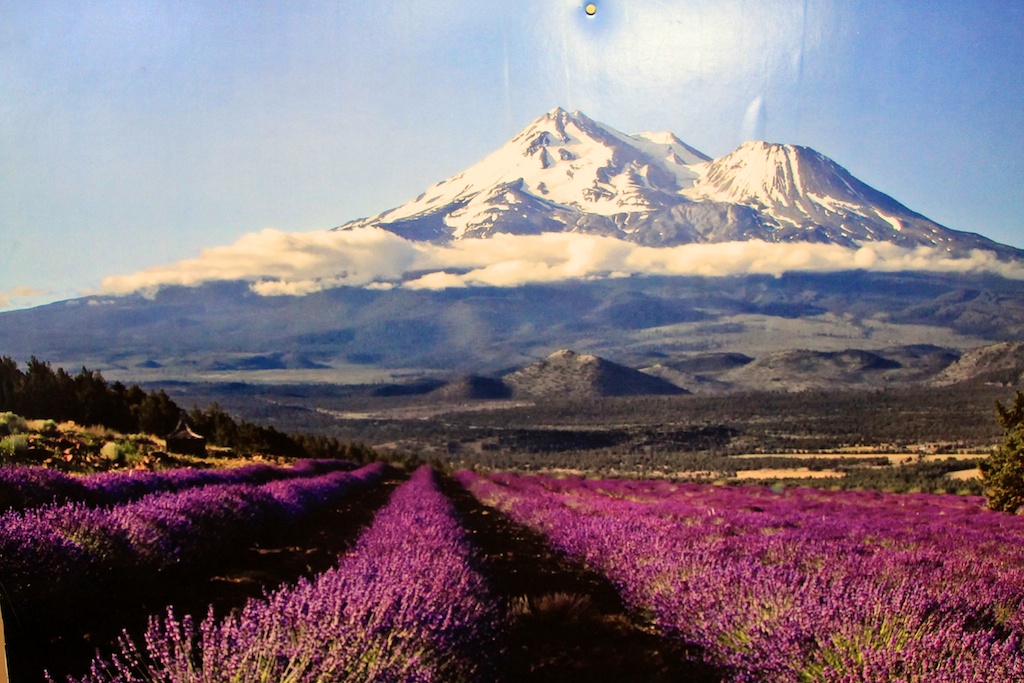 Black Bear Diner: Breakfast at the Base of Shasta - California Through