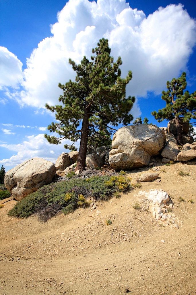 Mountain Biking at Big Bear Mountain Resorts - California Through My Lens