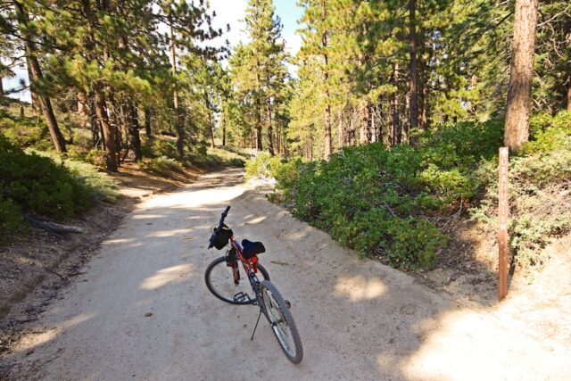 mountain biking in big bear