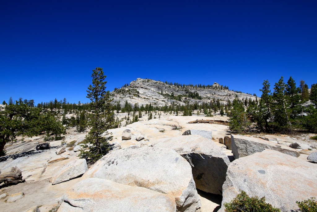 Tioga Pass Road (Route 120) A Beautiful Summer Road Trip California