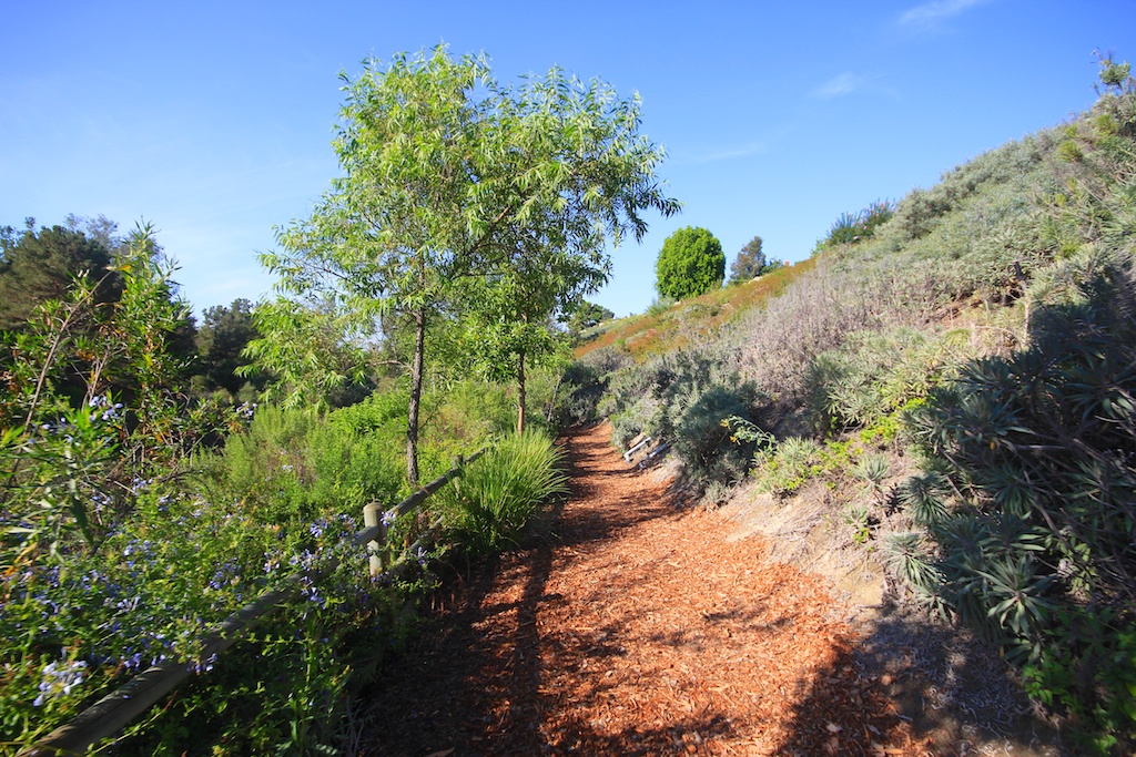 Oso Creek Trail in Mission Viejo