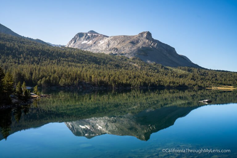 Tioga Road (Route 120) Over Tioga Pass: My Favorite Road Trip Stops