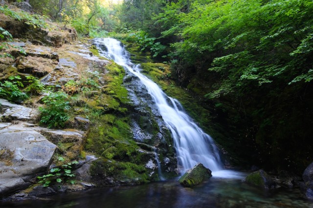 Whiskeytown Falls 7