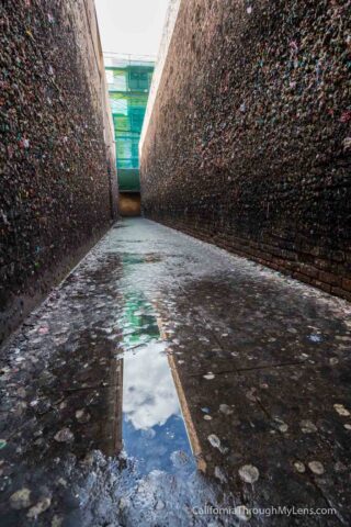 Bubblegum Alley Ca