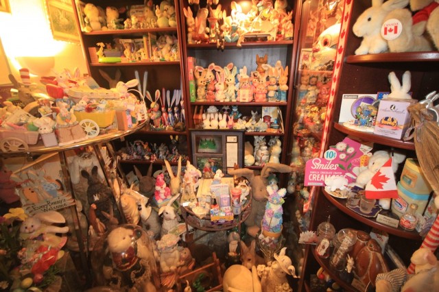 Bunny Museum 8