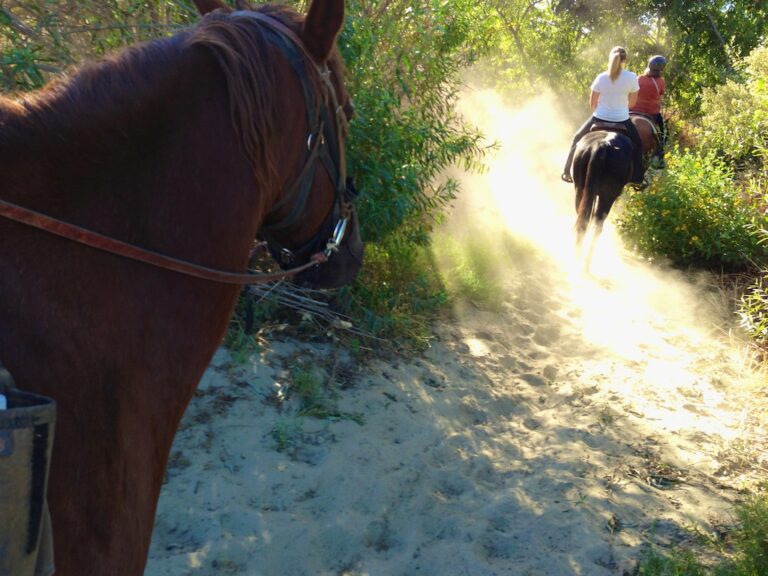 Horseback Riding in the Inland Empire with Western Trails