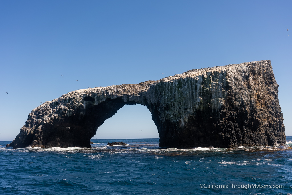 Anacapa Island Day Trip Guide: Channel Islands National Park ...