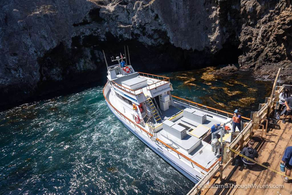 anacapa island trip