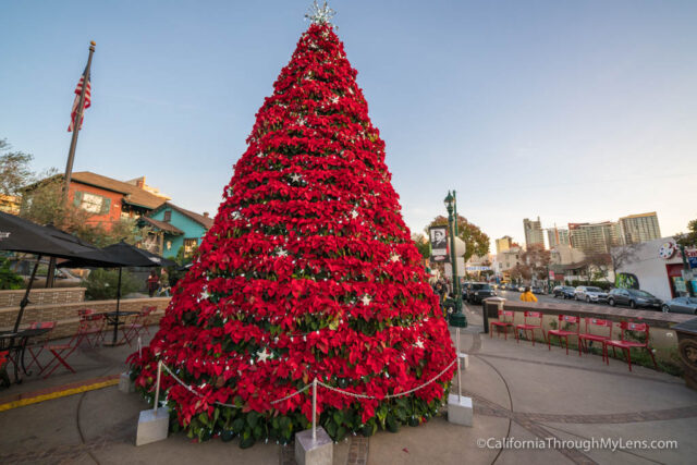 Where to see the L.A. area's tallest Christmas trees