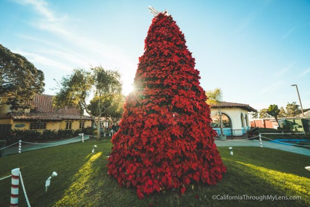 best places to visit in california at christmas