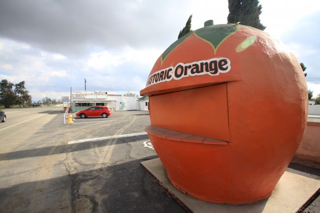 Giant Orange