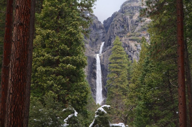 Lower Yosemite Falls