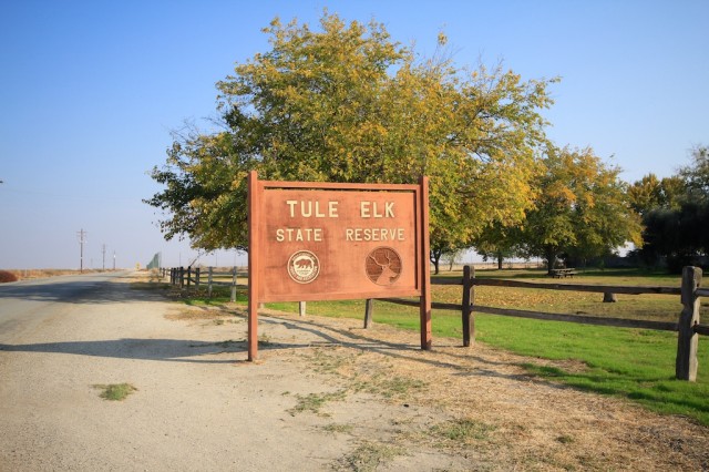 Tule Elk State Reserve 1