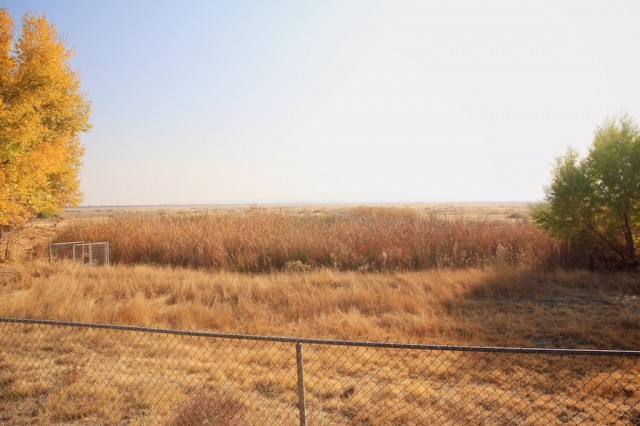 Tule Elk State Reserve 4