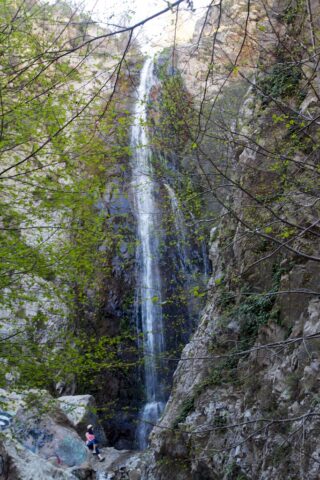 Cascadas Bonita 17