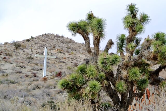 Desert Christ Park 1