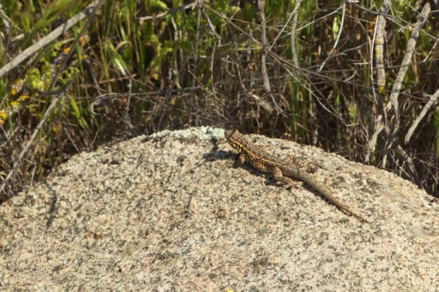 Harford Springs Reserve 7