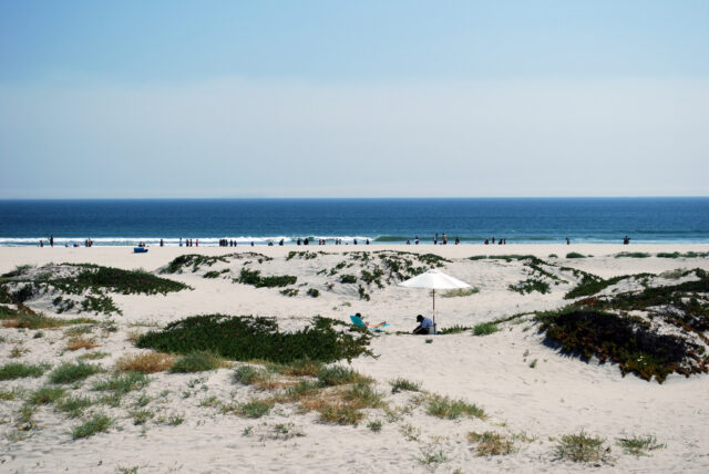 coronado sand dunes