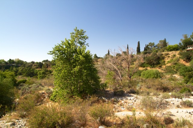 Eaton Canyon Falls 12