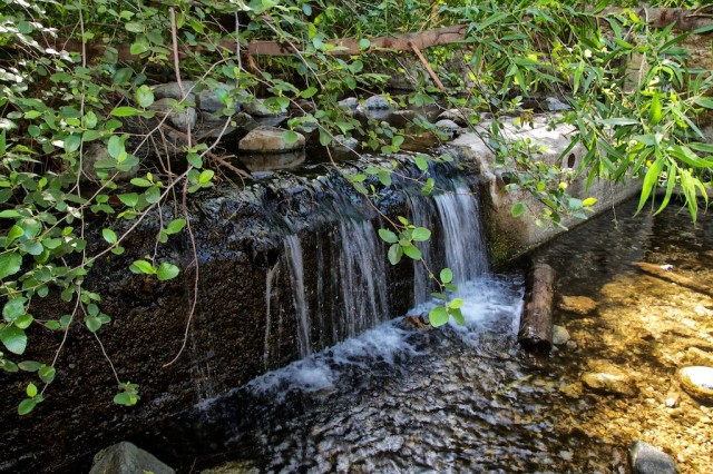 Eaton Canyon Falls 18